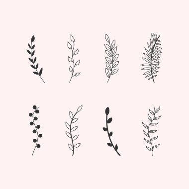 Yapraklar, çiçekler, girdaplar