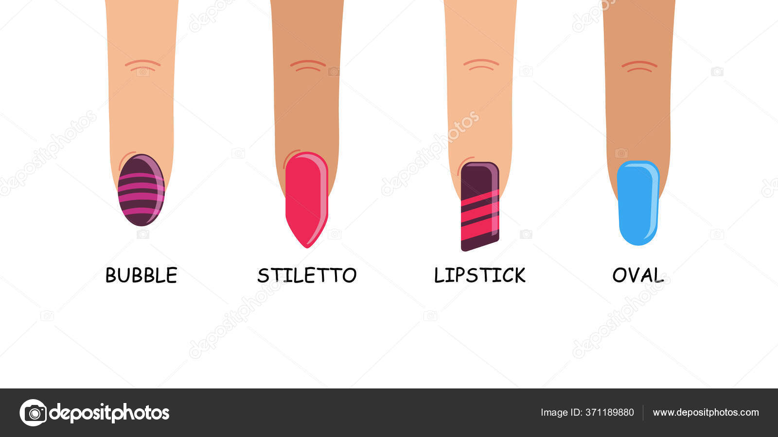 Different Basic Fashion Natural Nail Shapes Set Kinds Forms Of Nails Salon Nails  Type Trends Vector Illustration Stock Illustration - Download Image Now -  iStock