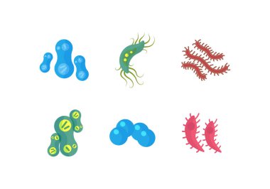 Bakteri, virüs, Coronavirüs. 