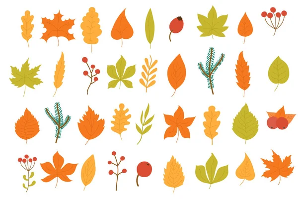 Foglie d'autunno, foglie . — Vettoriale Stock