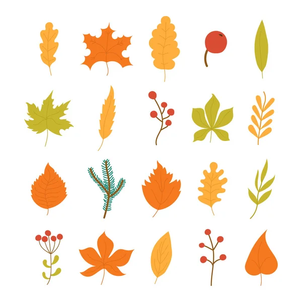 Hojas de otoño, hoja . — Vector de stock