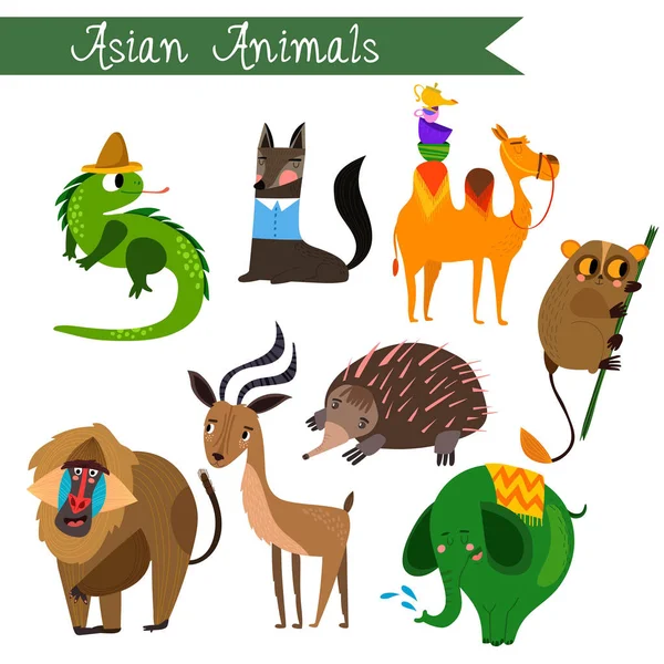 Animales asiáticos vector illustration.Vector conjunto. Aislado sobre blanco — Archivo Imágenes Vectoriales