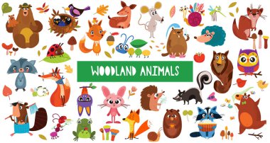 Çizgi filmlerdeki sevimli orman hayvanlarının büyük bir koleksiyonu. Beyaz arka planda izole edilmiş bir grup orman hayvanı karakteri.