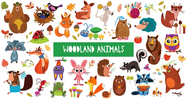 かわいい漫画の森の動物の大きなコレクション 白地に隔離された森の動物の文字のセット — ストックベクタ