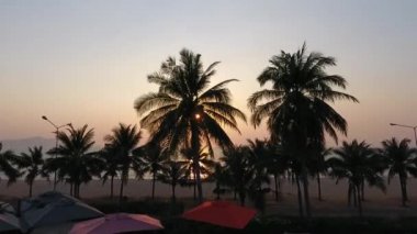 Sahildeki palmiye ağaçlarının arasından gün batımı