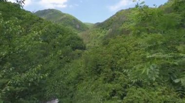 Kafkasya dağlarındaki vadide, sık ağaçların arasında.