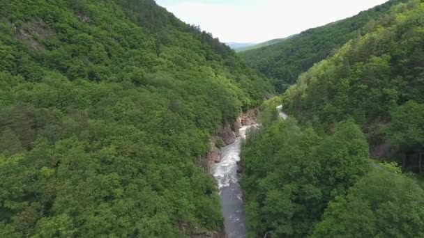 La rivière dans la gorge dans les montagnes du Caucase, parmi les arbres denses — Video