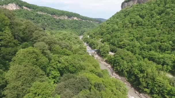 O rio no desfiladeiro nas montanhas do Cáucaso, entre árvores densas — Vídeo de Stock