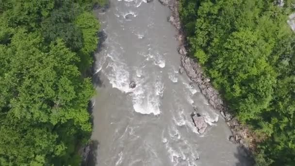 El río en el barranco en las montañas del Cáucaso, entre árboles densos — Vídeos de Stock