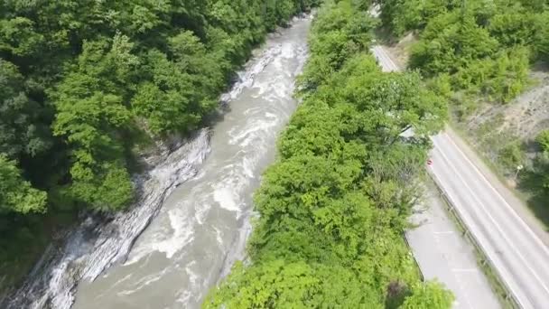 The river in the gorge in the Caucasus mountains, among dense trees — Stock Video