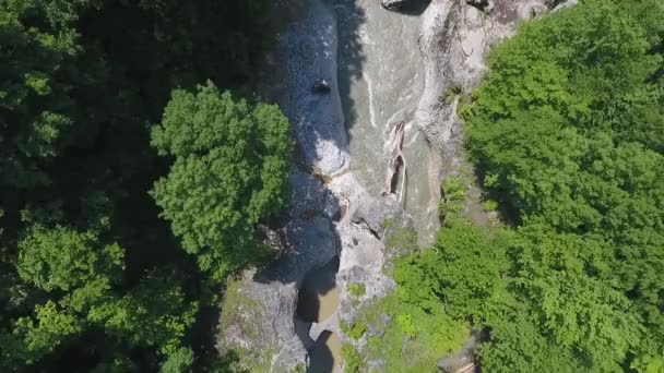 O rio no desfiladeiro nas montanhas do Cáucaso, entre árvores densas — Vídeo de Stock