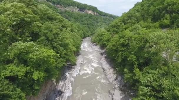 Floden i ravinen i Kaukasus berg, bland täta träd — Stockvideo