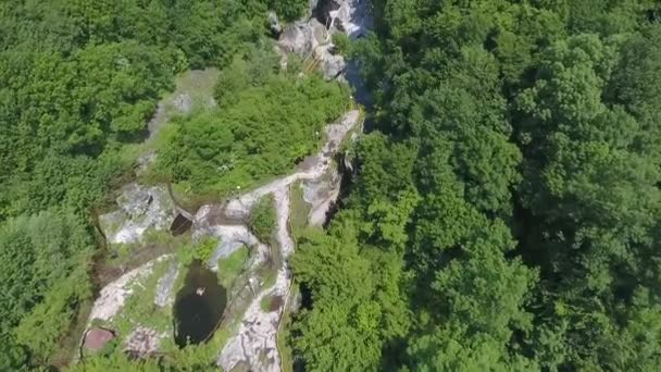 El río en el barranco en las montañas del Cáucaso, entre árboles densos — Vídeo de stock