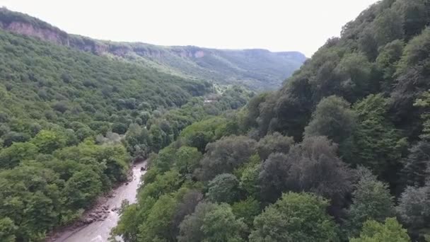 O rio no desfiladeiro nas montanhas do Cáucaso, entre árvores densas — Vídeo de Stock