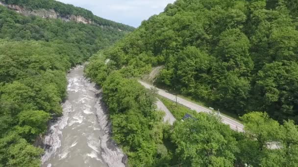 A folyó a Kaukázus-hegység szurdokában, sűrű fák között — Stock videók