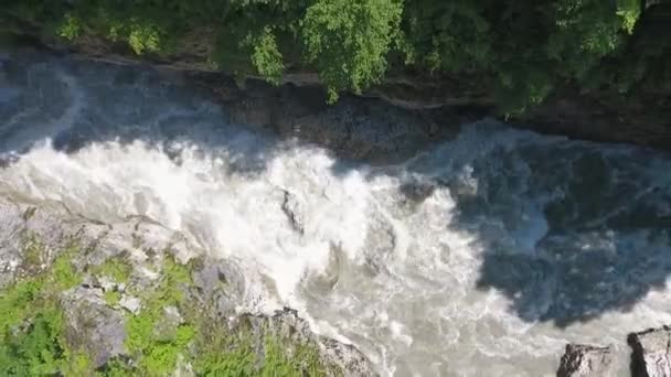 El río en el barranco en las montañas del Cáucaso, entre árboles densos — Vídeos de Stock