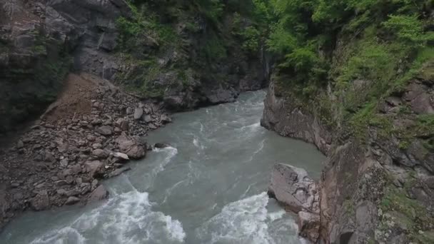 De rivier in de kloof in de Kaukasus, tussen dichte bomen — Stockvideo