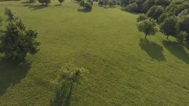 アディギアのコーカサスの緑の山々の美しい景色 — ストック動画