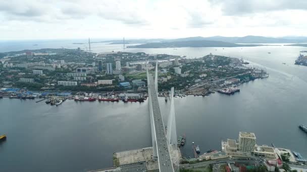 Un grande ponte bianco con cavi, primo piano, wiev aerea. il porto di Vladivostok — Video Stock