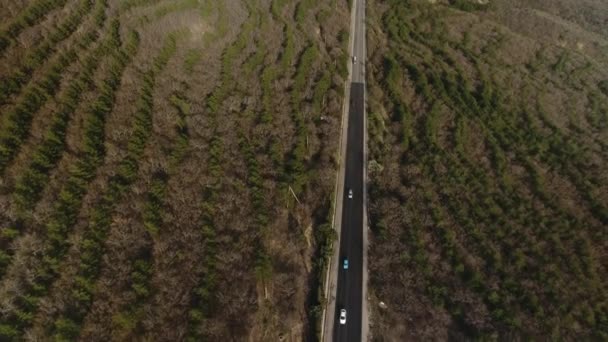 Några bilar kör på smal motorväg i bergen, antenn utsikt — Stockvideo