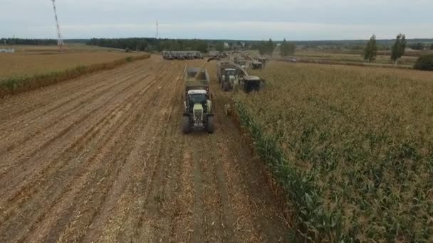Уборка специальной сельскохозяйственной техники в Брянской области — стоковое видео