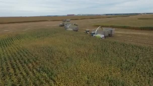 Raccolti speciali di macchine agricole nella regione di Bryansk — Video Stock