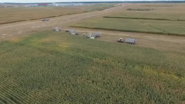 布良斯克地区的特殊农业机械收获 — 图库视频影像