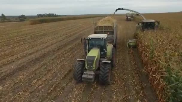 Cosechas especiales de maquinaria agrícola en la región de Bryansk — Vídeos de Stock