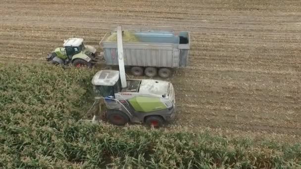 Récoltes spéciales de machines agricoles dans la région de Bryansk — Video