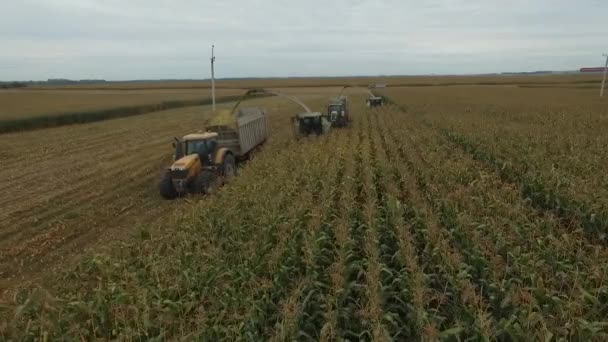 Bryansk bölgesinde özel tarım makineleri hasat ediliyor — Stok video