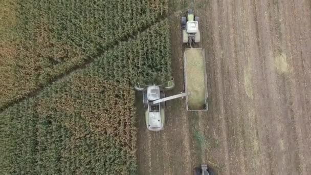 Récoltes spéciales de machines agricoles dans la région de Bryansk — Video