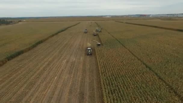 布良斯克地区的特殊农业机械收获 — 图库视频影像