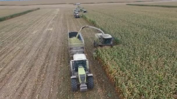 Récoltes spéciales de machines agricoles dans la région de Bryansk — Video