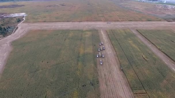 Colheitas especiais de máquinas agrícolas na região de Bryansk — Vídeo de Stock