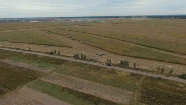 ブリュヤンスク地方の特別な農業機械の収穫 — ストック動画