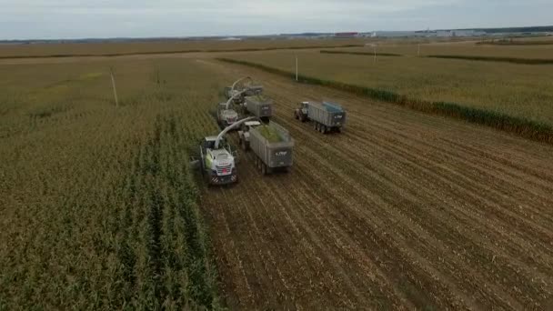 Speciální sklizeň zemědělských strojů v regionu Bryansk — Stock video