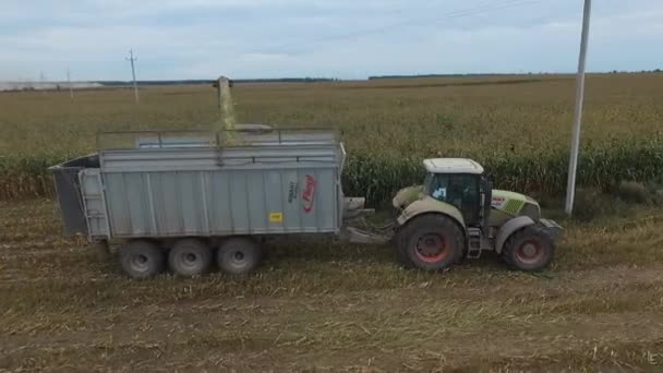 Colheitas especiais de máquinas agrícolas na região de Bryansk — Vídeo de Stock