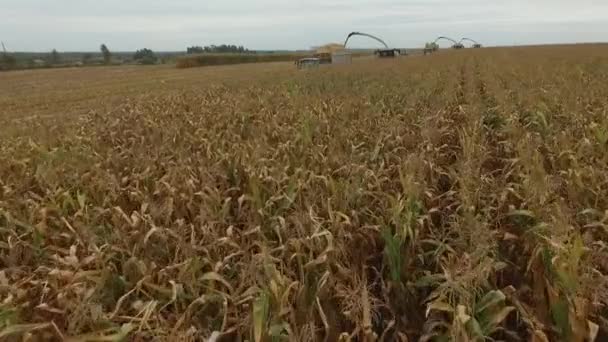 Cosechas especiales de maquinaria agrícola en la región de Bryansk — Vídeo de stock