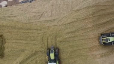 Bryansk, Rusya - Eylül 2016: Traktör yeni toplanmış ürünleri topluyor