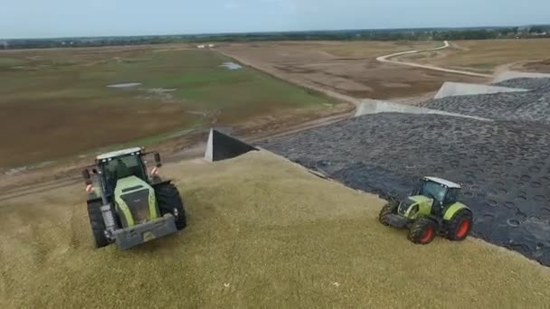 Bryansk, Rusia - septiembre de 2016: el tractor recoge un montón de cosechas recién recogidas — Vídeos de Stock