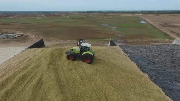 Bryansk, Rússia - setembro de 2016: trator coleta um monte de colheita recém-colhida — Vídeo de Stock