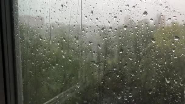 Za oknem hustý déšť a silný vítr, kapky stékají oknem — Stock video