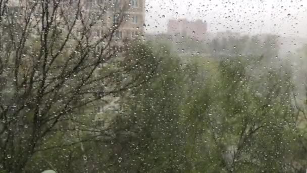 Pencerenin dışında şiddetli yağmur ve güçlü rüzgar damlaları pencereden aşağı akıyor. — Stok video