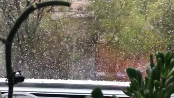 Ağır çekim, pencerenin dışında sağanak yağmur, penceremden süzülen yağmur damlaları — Stok video