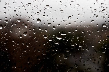 Pencereye yağmur damlaları düşer. Huysuz ve üzgün..