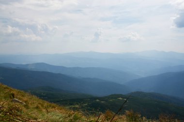 Blue mountains görünümünü