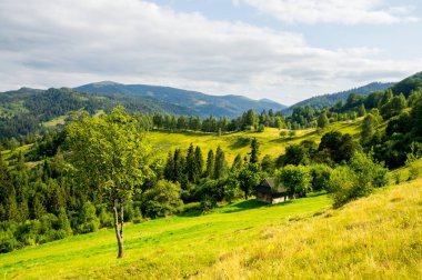 Yalnız bir ağaç ve dağlarda eski bir ev