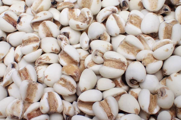 İş'ın gözyaşları makro