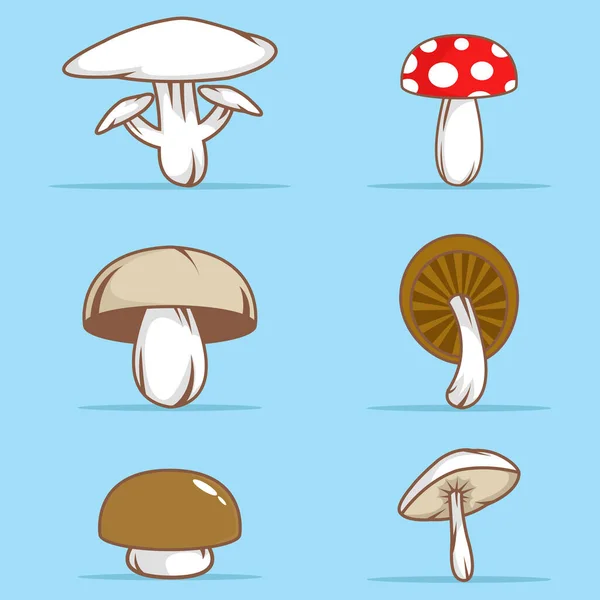 Ilustração Vetorial Cogumelos Venenosos Comestíveis Fundo Azul Fresco — Vetor de Stock