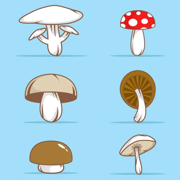 Illustration Vectorielle Champignons Toxiques Comestibles Sur Fond Bleu Frais — Image vectorielle